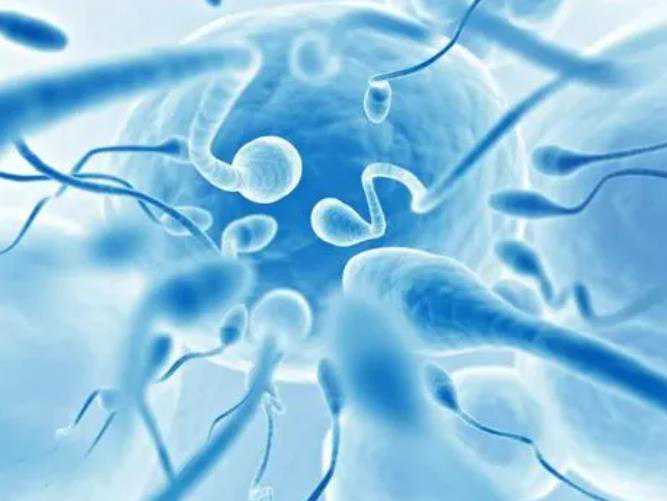 长沙最靠谱代孕公司,2023
年长沙中信湘雅医院可以做供卵试管婴儿吗？要排队吗